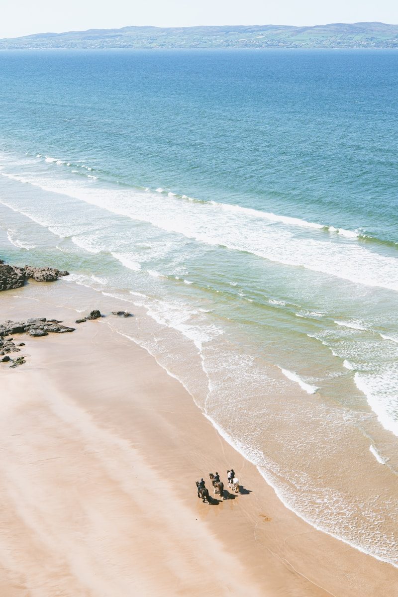 People walk on a sandy beach near the ocean.