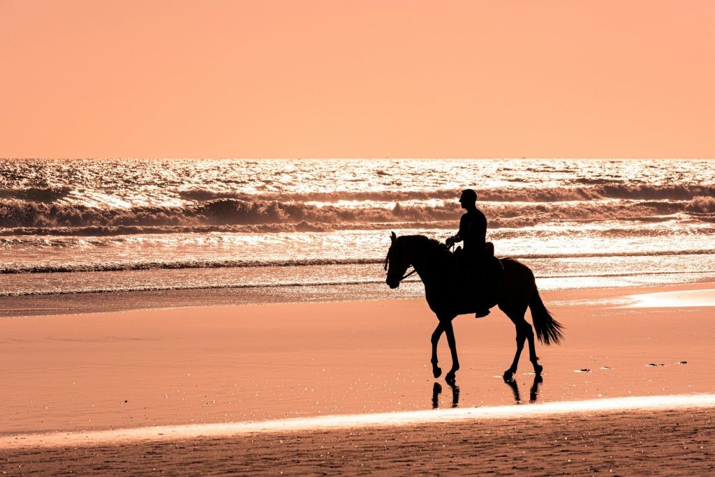 man riding horse on beach during sunset